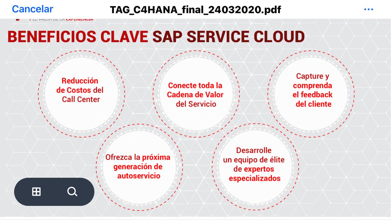 Customer Experience SAP C4/HANA Powered by TAG Consulting 